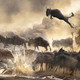 Illustration for article titled The finalists for 2014s Sony World Photography Awards are outstanding